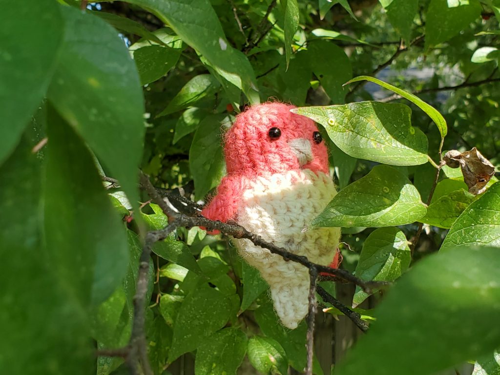 pensive bird in tree